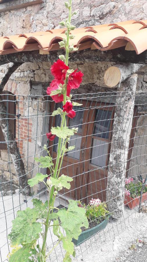 Les Tremieres Bed & Breakfast Saint-Paul-des-Fonts Luaran gambar